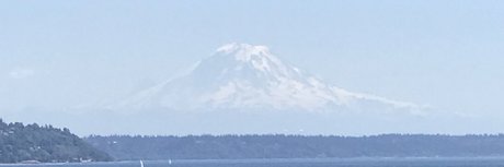 Irihonswag pornstar hot gallery