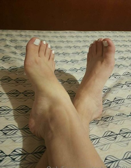 catina500k star perfect pics