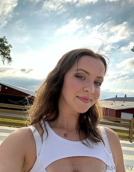 Sen City model perfect img