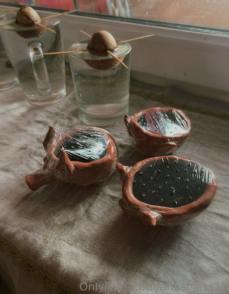 beach sex onlyfans hot pics