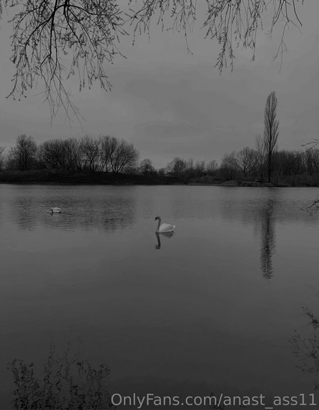 gay cock onlyfans hot sexy img