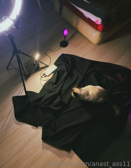 fat pussy onlyfans free pictures