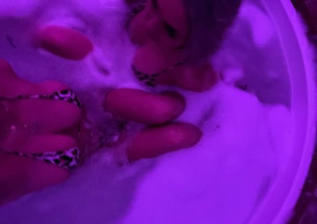 missoverdrip nudes pornstar archive