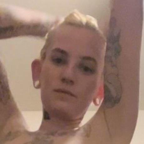 gani driesgraber nice star galleries