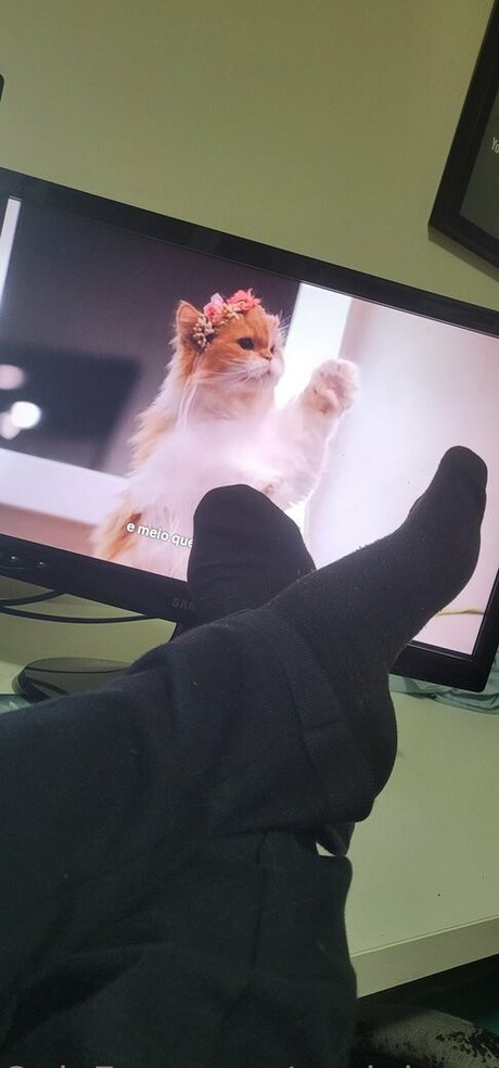 packdopedaingrid star nice gallery