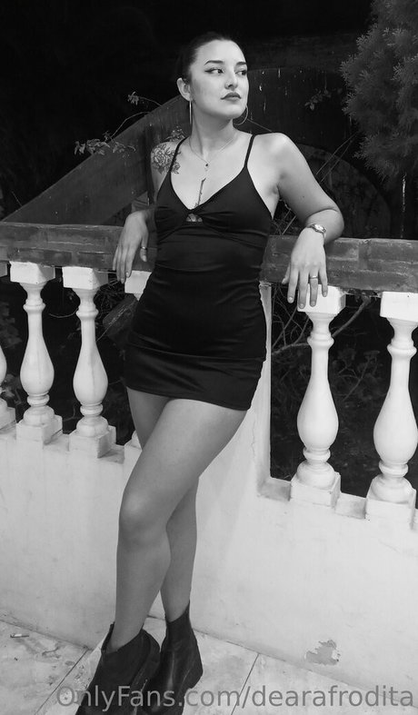 rosecamxxx model erotic gallery