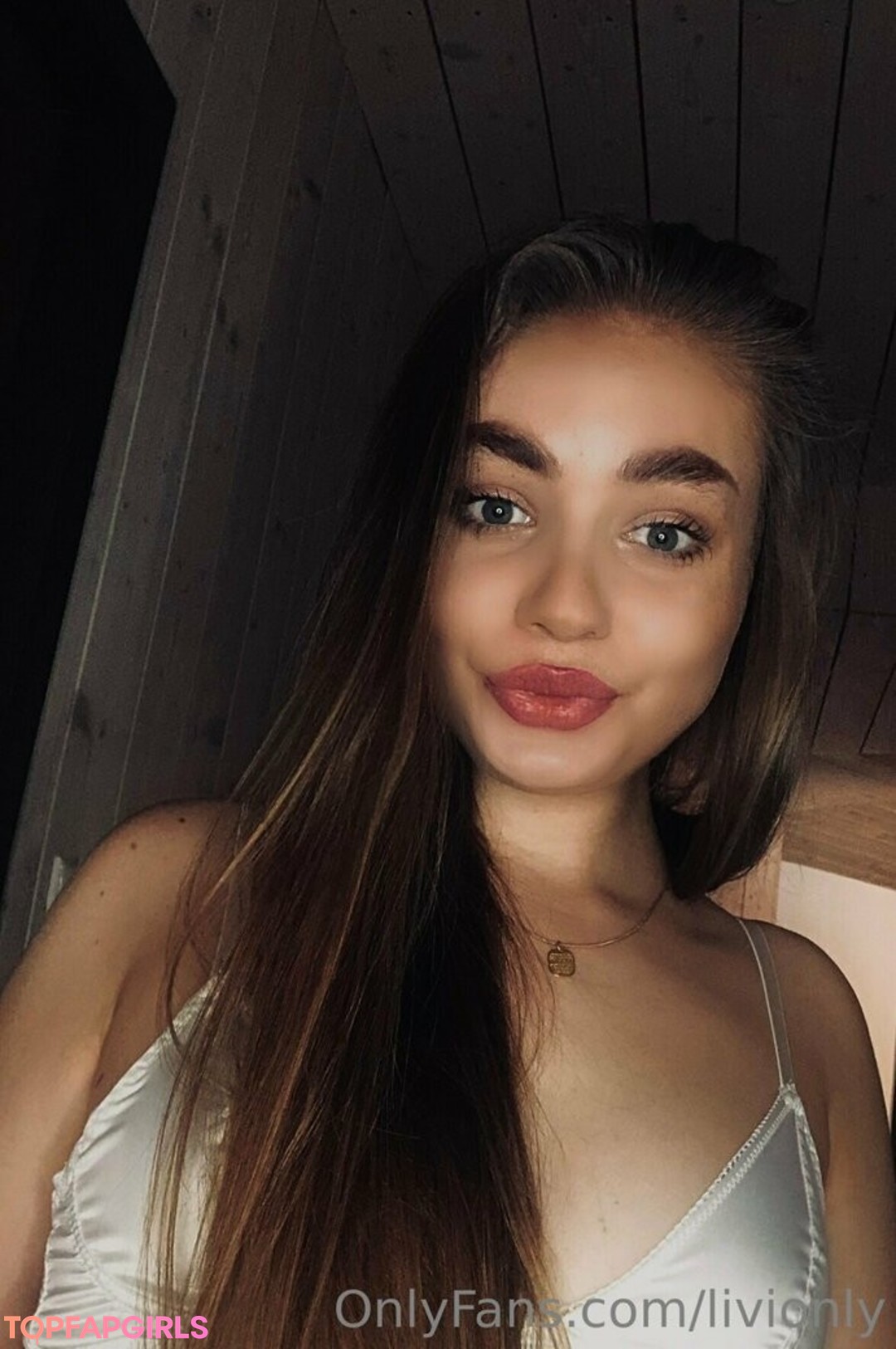 livionly art pornstar galleries