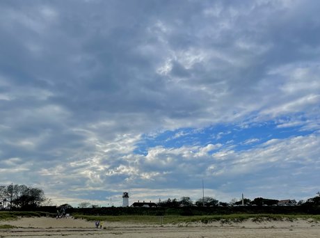 transgender onlyfans free porn image