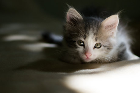 Mary Anne KYC pornstar hd gallery