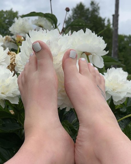 sugar sweetsoles sex star images