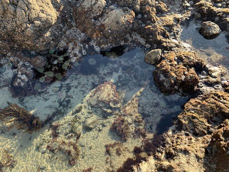 busty teen onlyfans porn picture