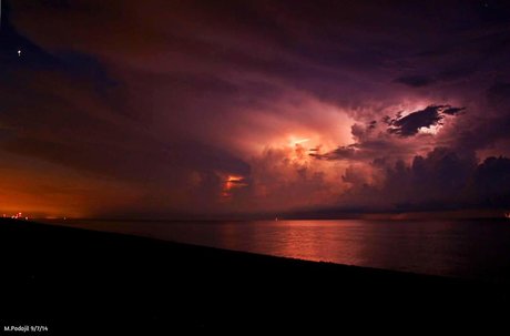 _sacred lotus_ pornographic star photo