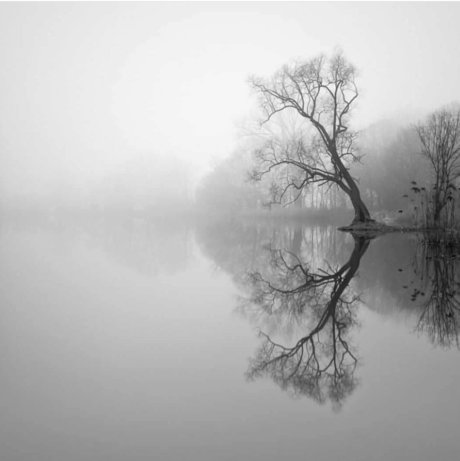 anal interracial onlyfans free porn galleries