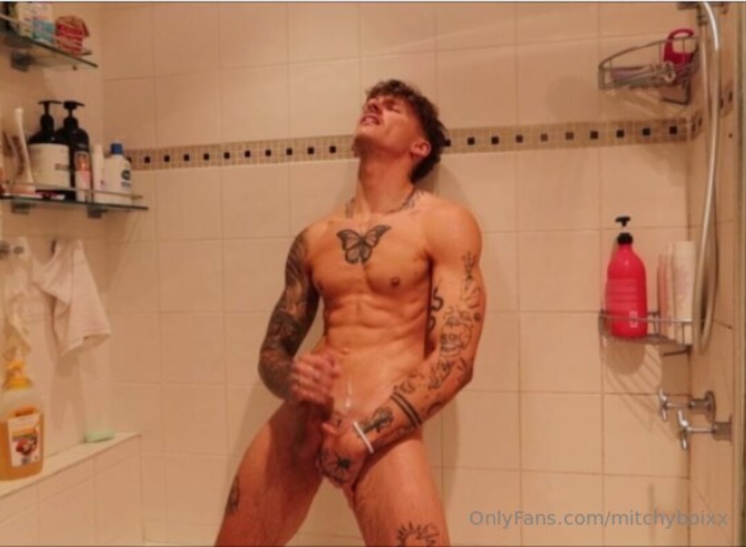 Mitch star perfect galleries