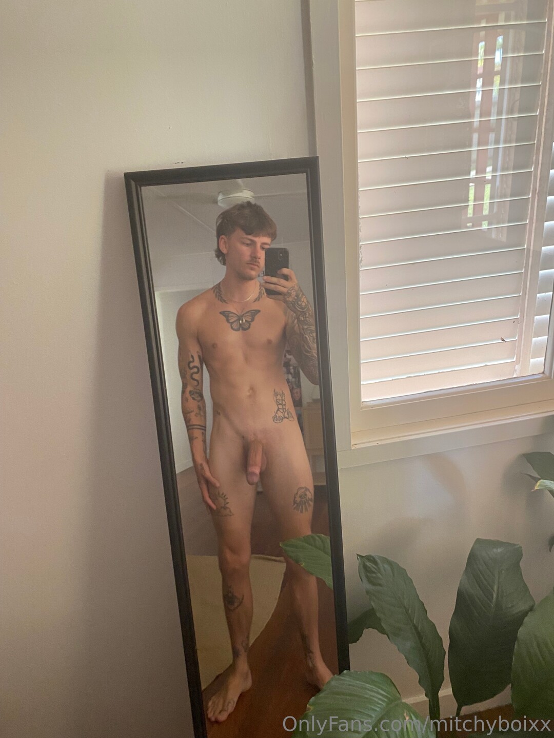 Mitch model best img