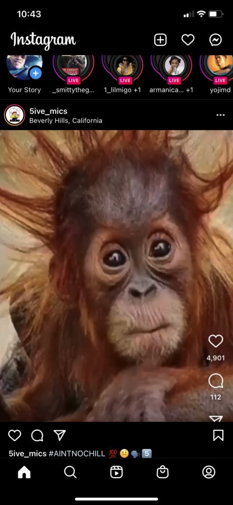 Drew john model free galleries