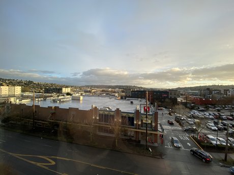 Seattle Breeder_ star nice gallery