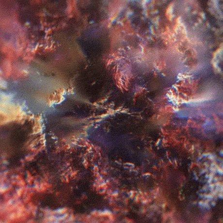 eartha klitt free actress picture