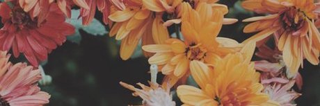 Abdul El Sahili_ pornstar perfect pics