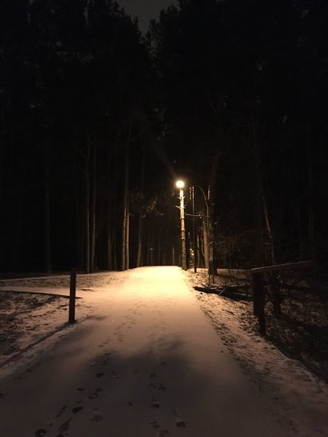 Elyse pornstar art image