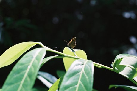 gay oral onlyfans hot sex pics