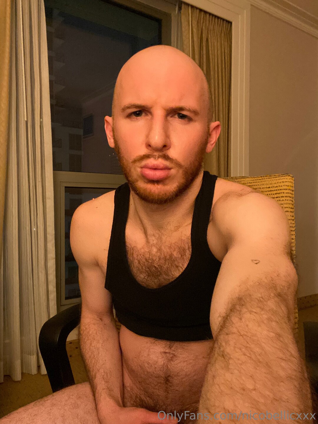 Nico Bellic best pornstar pictures