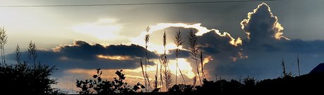 Matt Hollander perfect star galleries