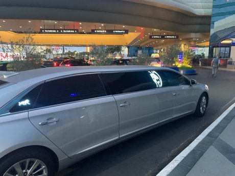 Mr Servitude perfect pornstar gallery