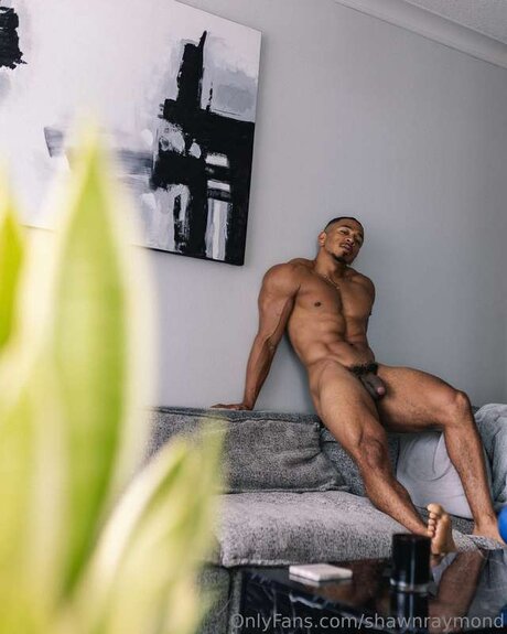 TheShawnRaymond best pornstar image