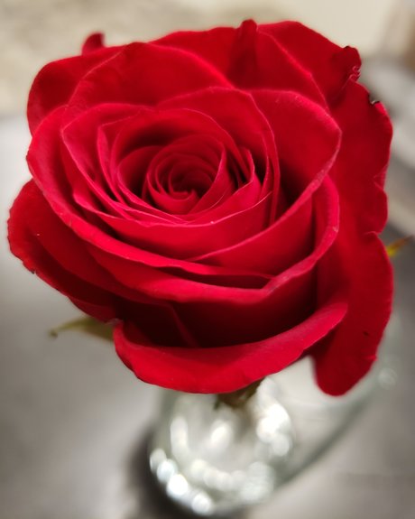 Micki Rayne model erotic pictures