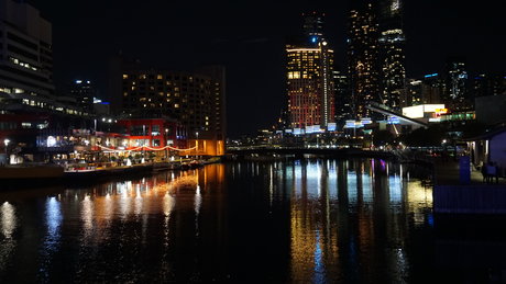 Sofia 3 star adult archive