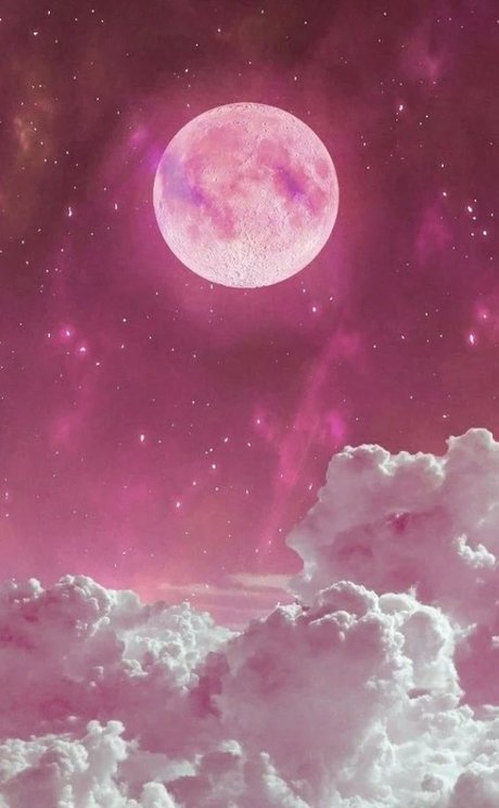 The Best hot model best image