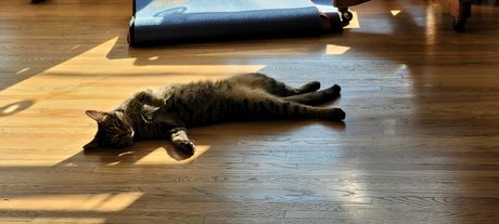 Go For Sho pornstar nudes pic