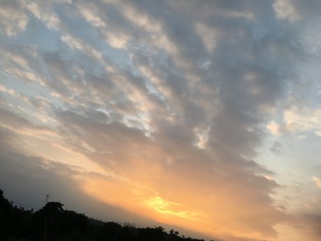 Percy Hidalgo star adult images