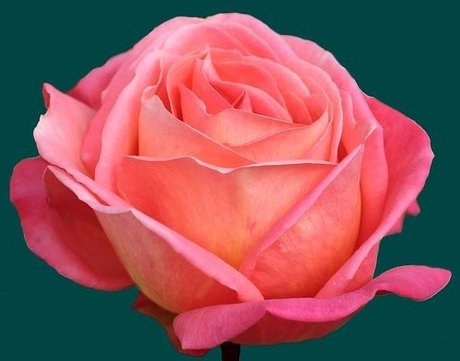 S d ct v Mistr ss sexy model pics