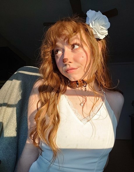 MandyFrizzle best model img