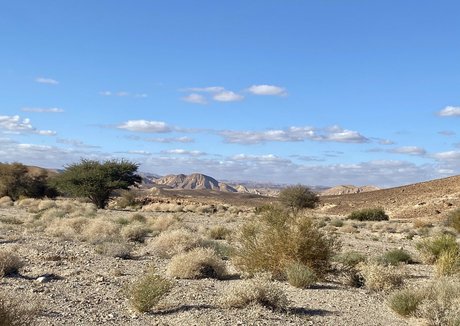 blowjob cum in mouth onlyfans xxx pic