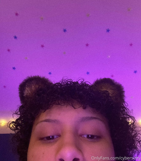 Cybersofty star top gallery