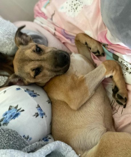 local onlyfans beautiful xxx galleries