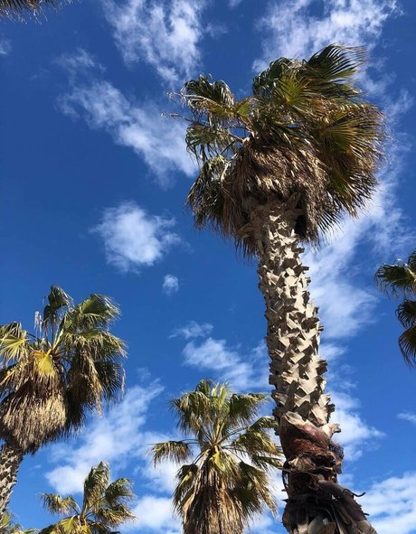 amateur nude onlyfans naked pictures