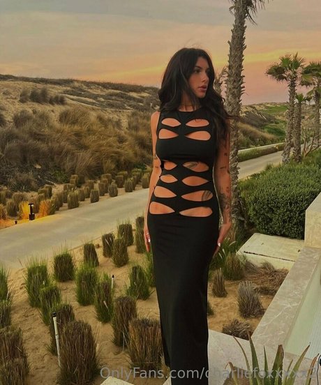 charliefoxxxxx2 model pornographic img