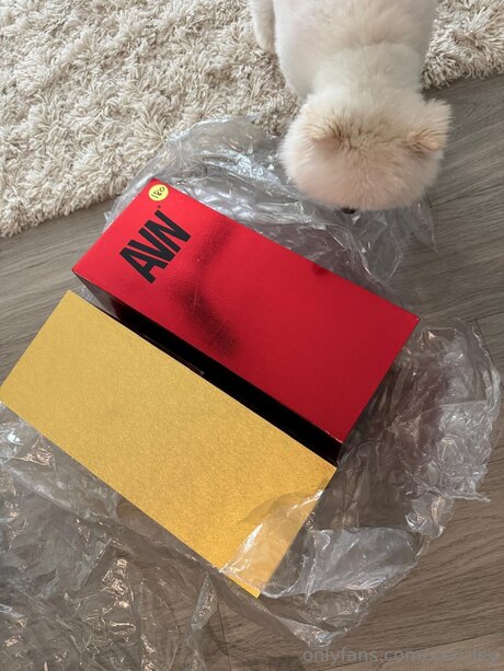 xxxriley model high quality img