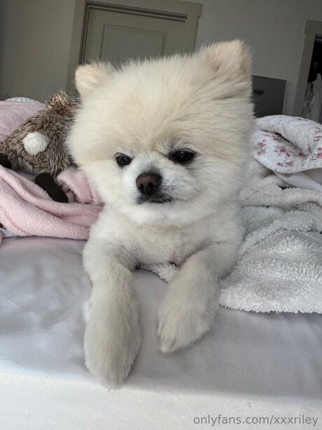 xxxriley best actress pic