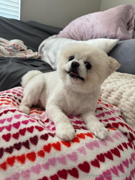 asian hairy onlyfans art naked pics