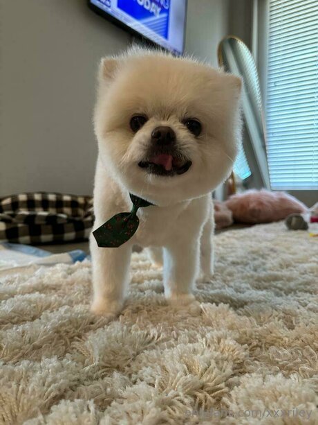 xxxriley pornstar free archive