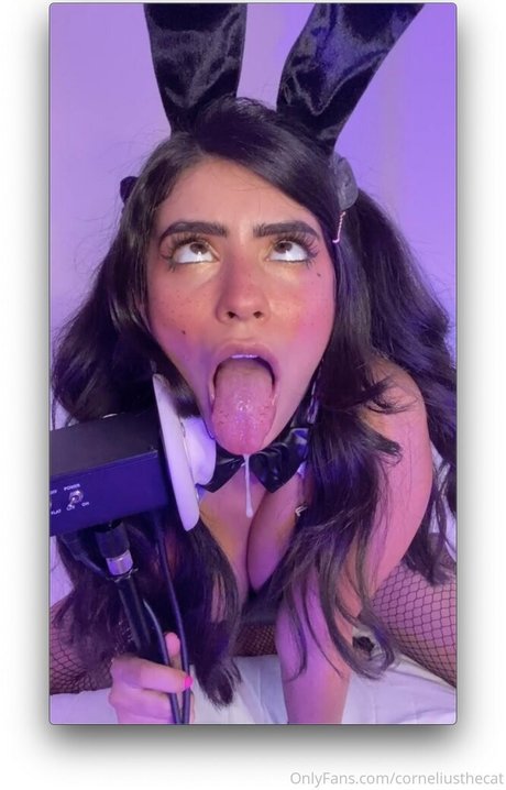 corneliusthecat star hot img