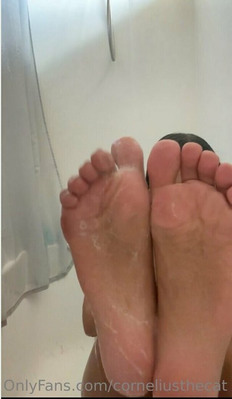 asian onlyfans porn gallery