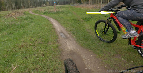 ann antics sexy actress photos