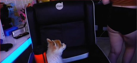 Claudia Andriolo free star photo