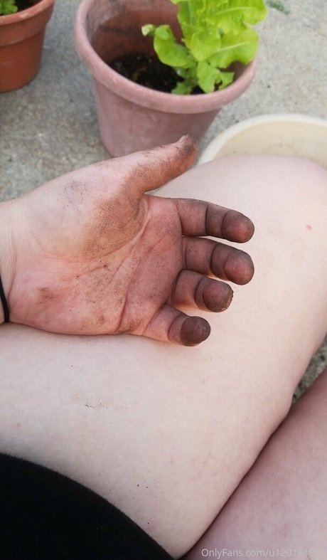 foxycarly adult star images